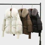 Alanka - Jacket