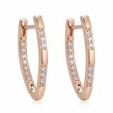 Elegant earrings with zirconia stones