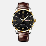 Men's Watch with Luminous Hands